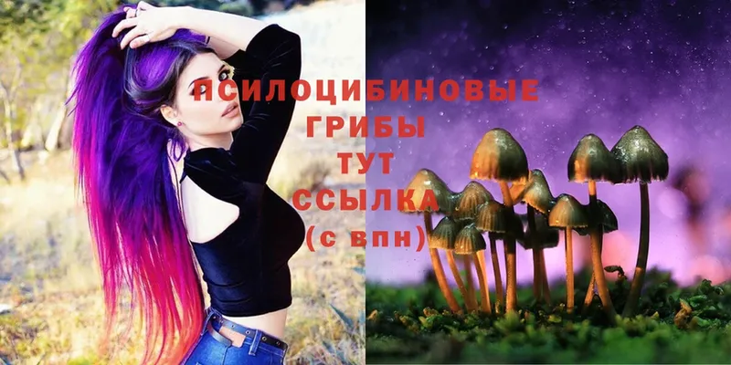 закладка  блэк спрут рабочий сайт  Псилоцибиновые грибы Magic Shrooms  Хотьково 